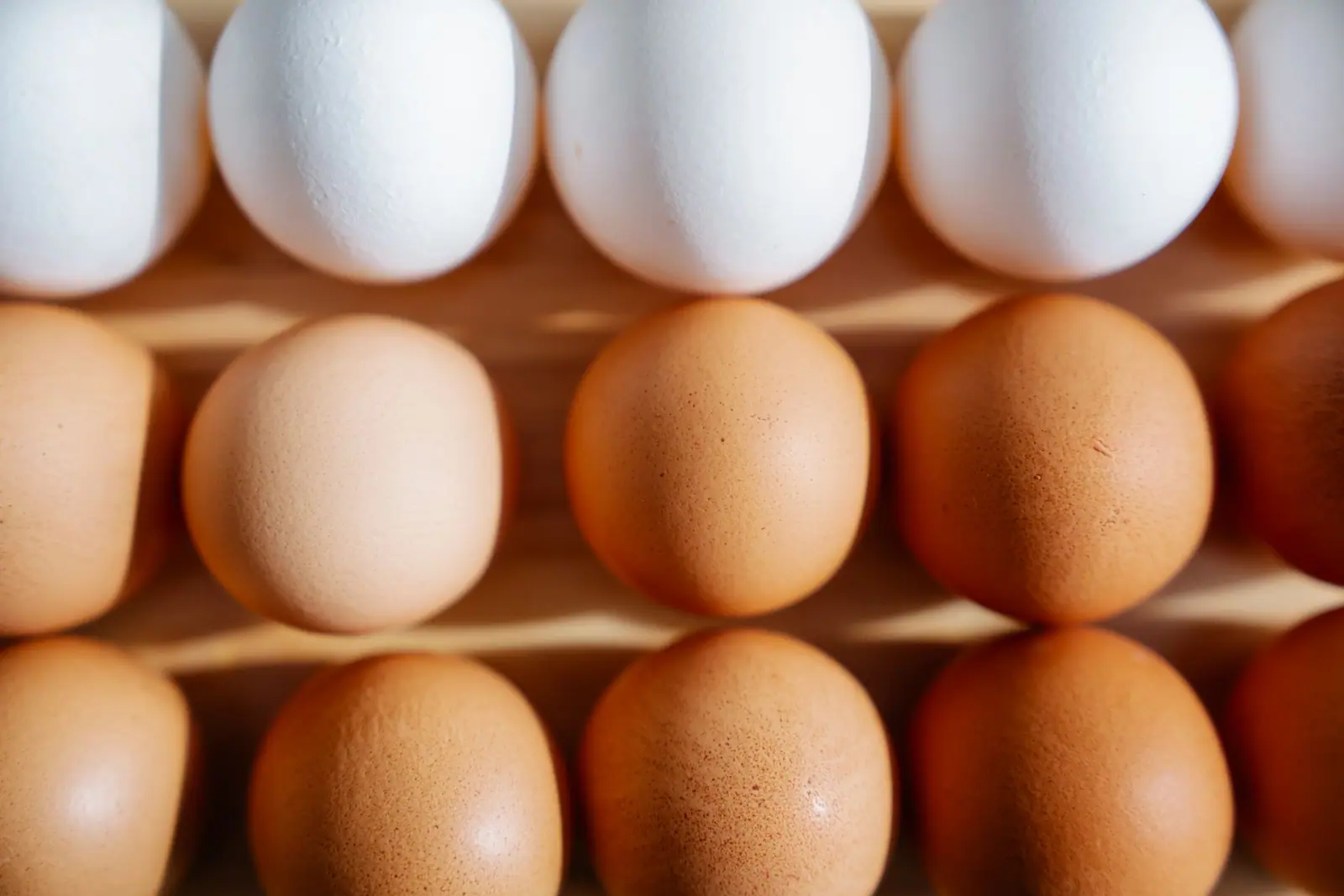 Brown and white eggs arranged in cardboard trays