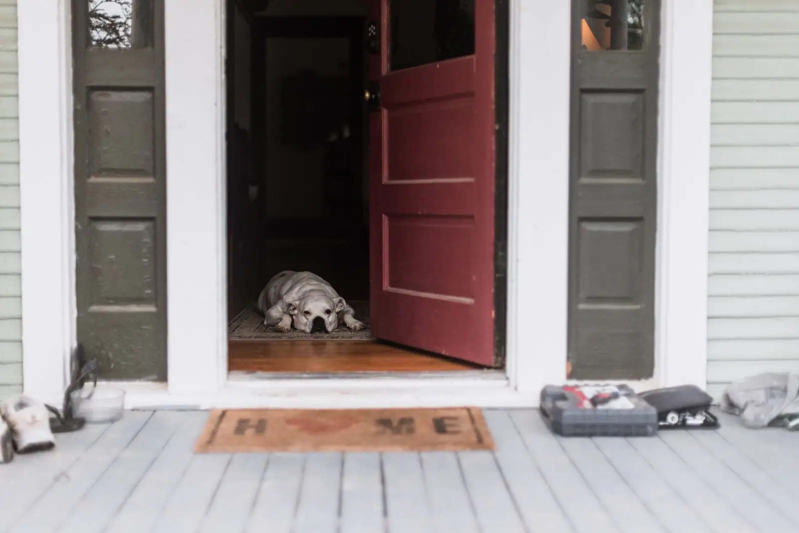 A dog lying just inside an open front door seen from the porch