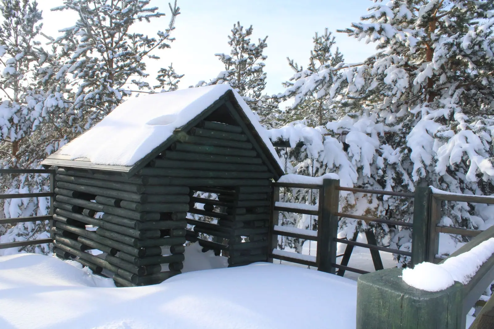 A small wooden shed covered in snow among snowy trees